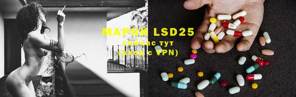PSILOCYBIN Кулебаки
