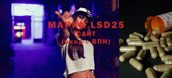 PSILOCYBIN Кулебаки