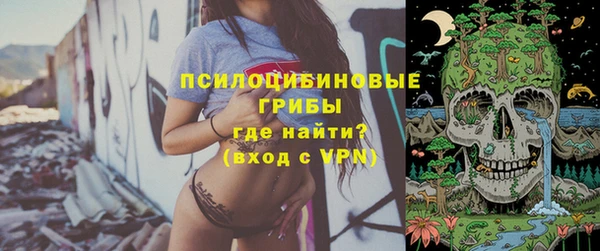 spice Краснослободск