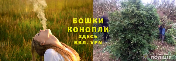 PSILOCYBIN Кулебаки