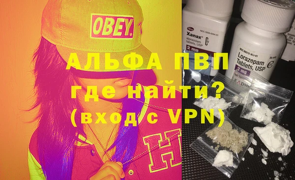 PSILOCYBIN Кулебаки