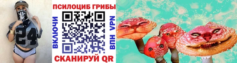 Купить  Туапсе  Галлюциногенные грибы прущие грибы 